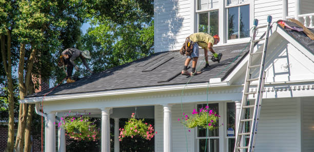 Best Roof Moss and Algae Removal  in Ivanhoe, TX